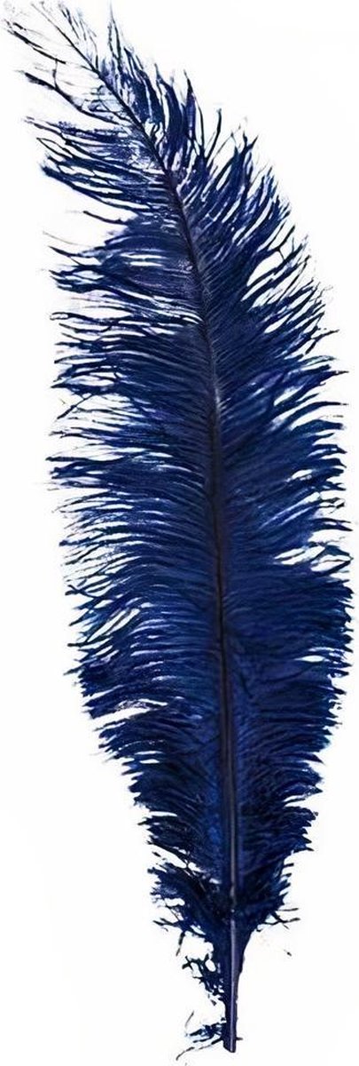 Witbaard Struisveer 50-60 Cm Donkerblauw