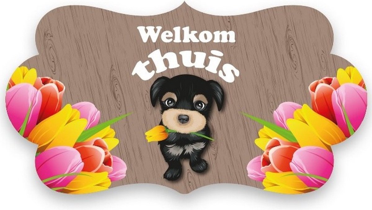 huldeschild Welkom Thuis 42 x 22 cm karton bruin