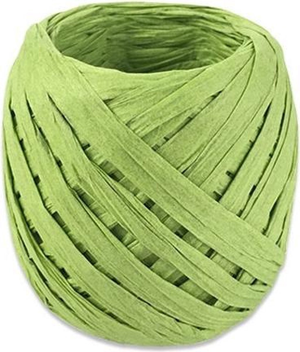 lint 20 meter papier groen