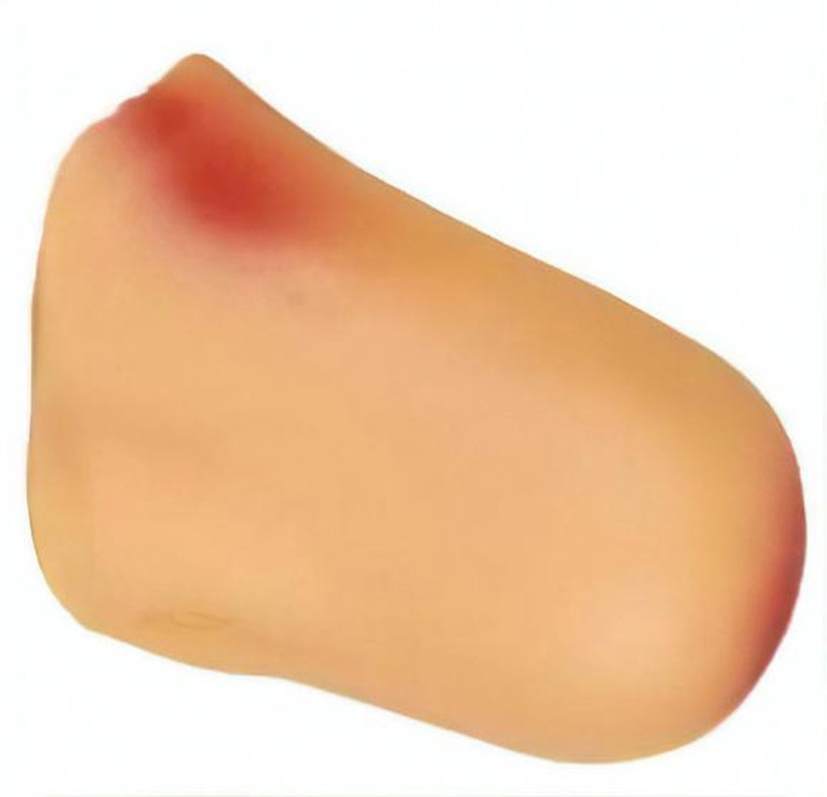 verkleedneus stip rubber beige/rood one-size