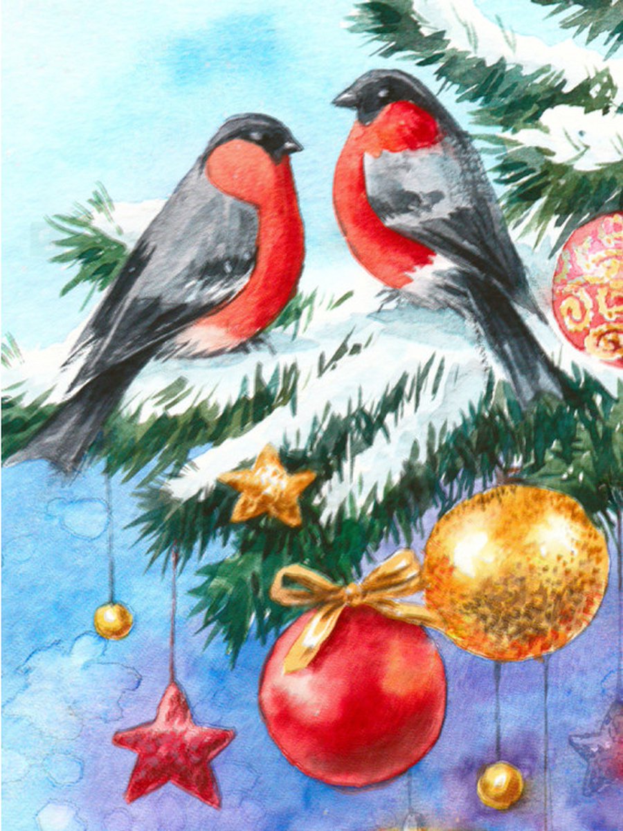 Diamond Painting Twee Roodborstjes met kerstboom  30x40  Wizardi