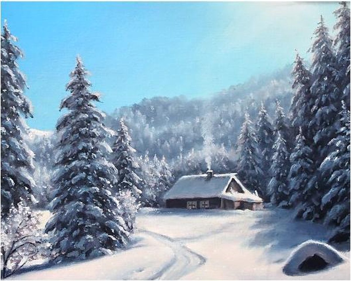 Diamond Painting Winter day 50x40cm  Wizardi