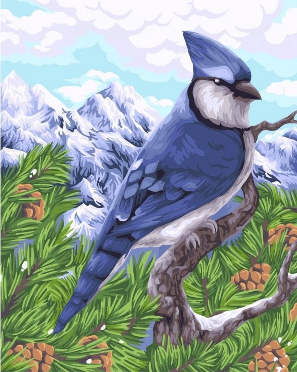 Schilderen op nummer - BLUE JAY - WIZARDI