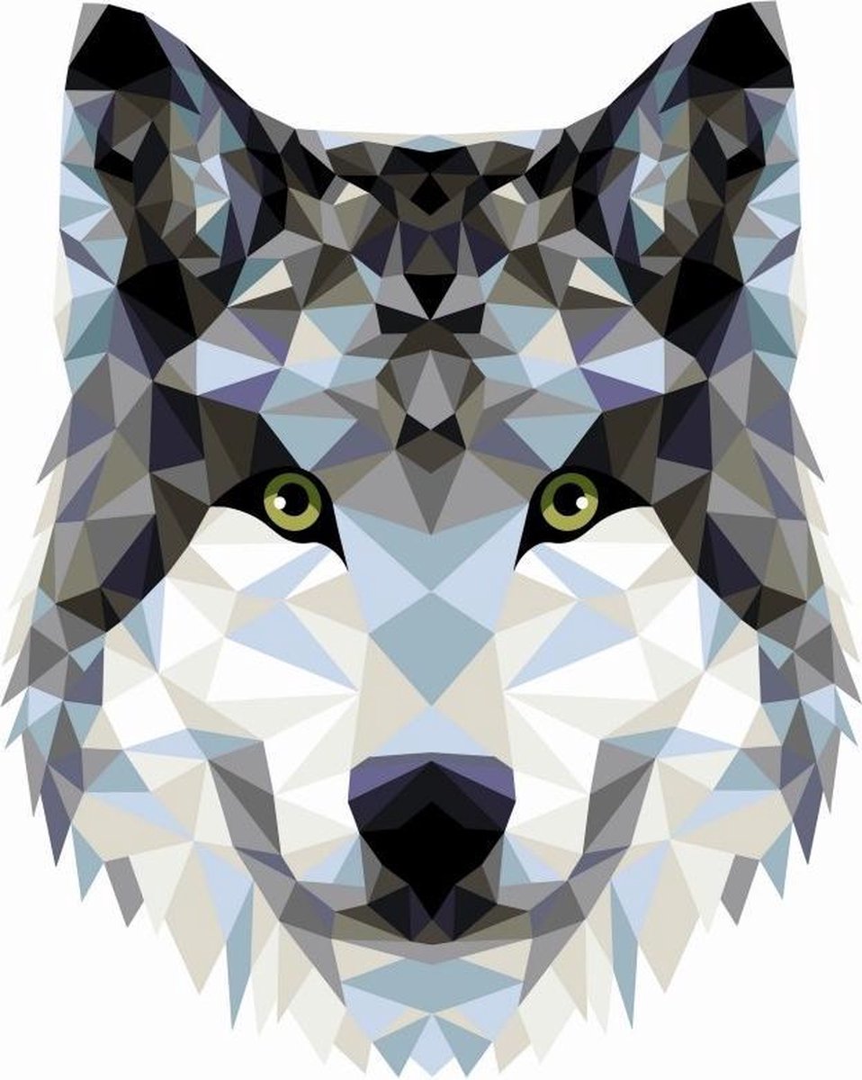 Schilderen op  nummer - POLYGONALE WOLF - MET VLAKKEN - WIZARDI - 40 x 50 cm - opgespannen op hout