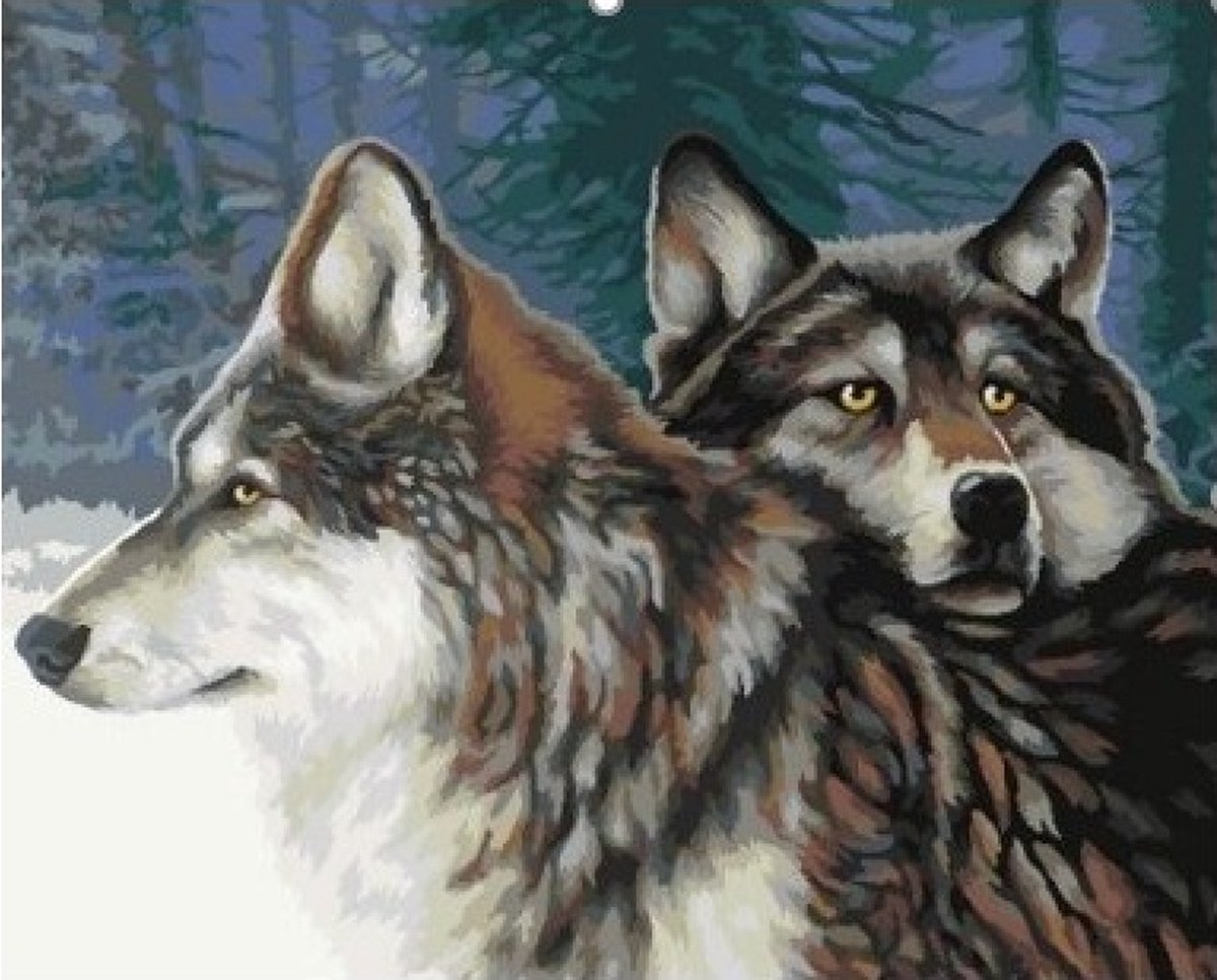 Schilderen op nummer - WIZARDI - GAZE OF THE WOLF (T033) - opgespannen op hout - 40 x 50 cm