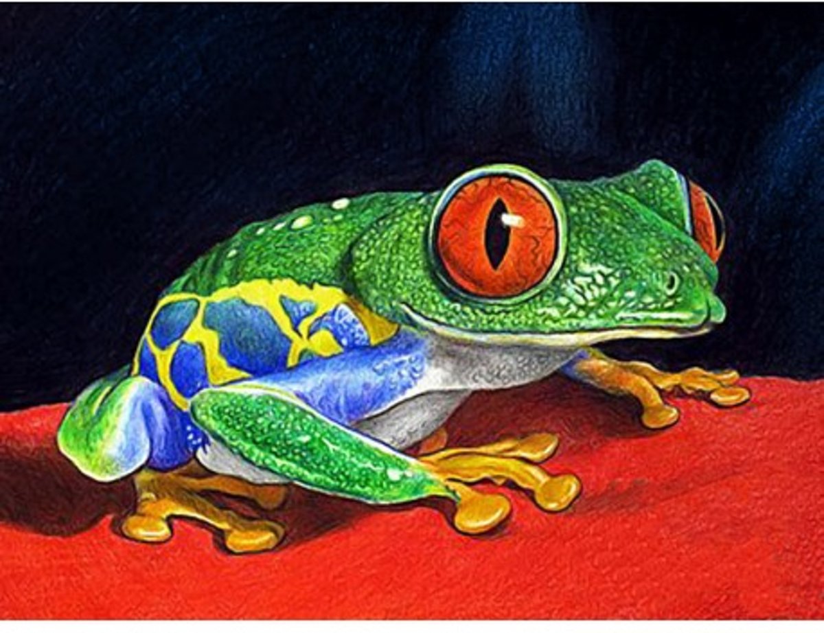 WIZARDI DIAMOND PAINTING FROG