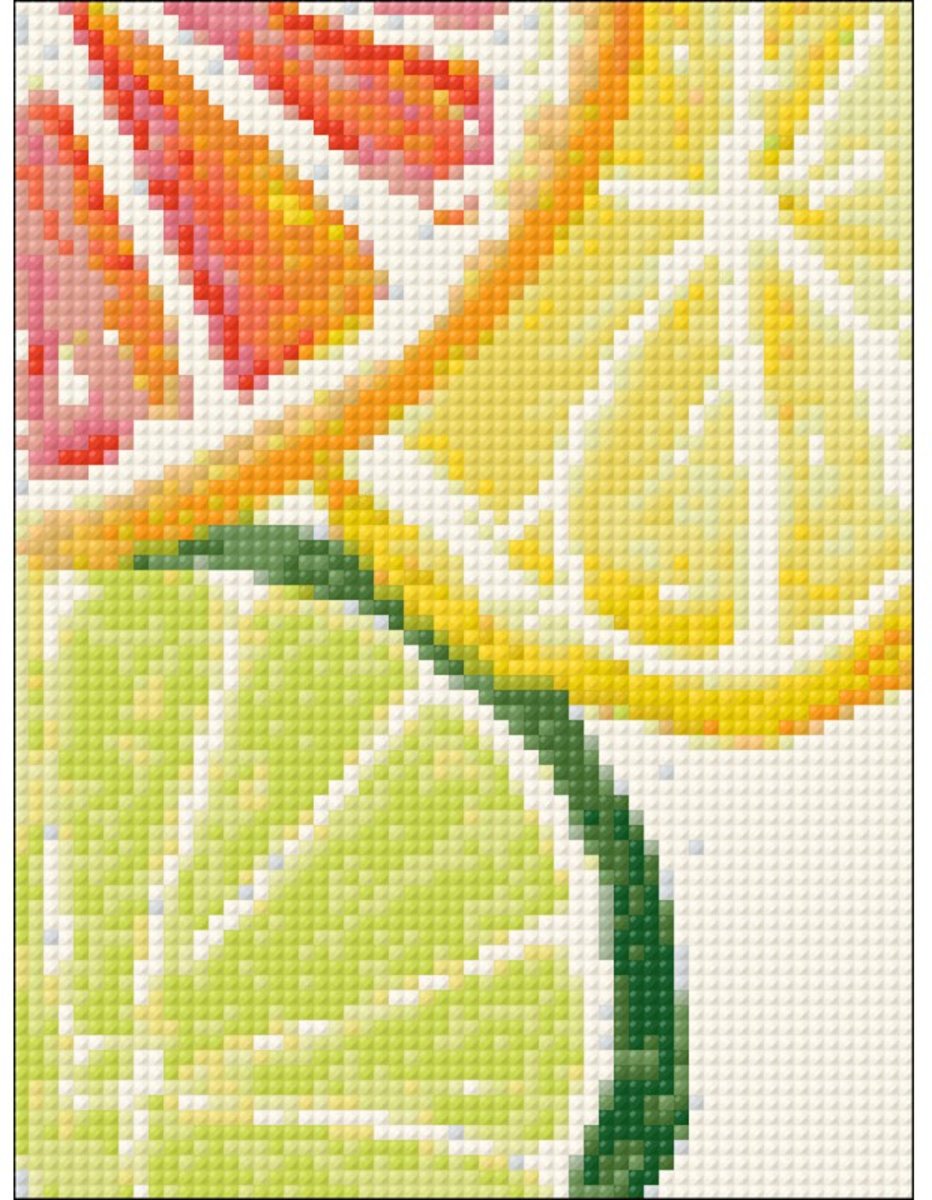   Diamond Painting Kit Citrus Fresh WD281