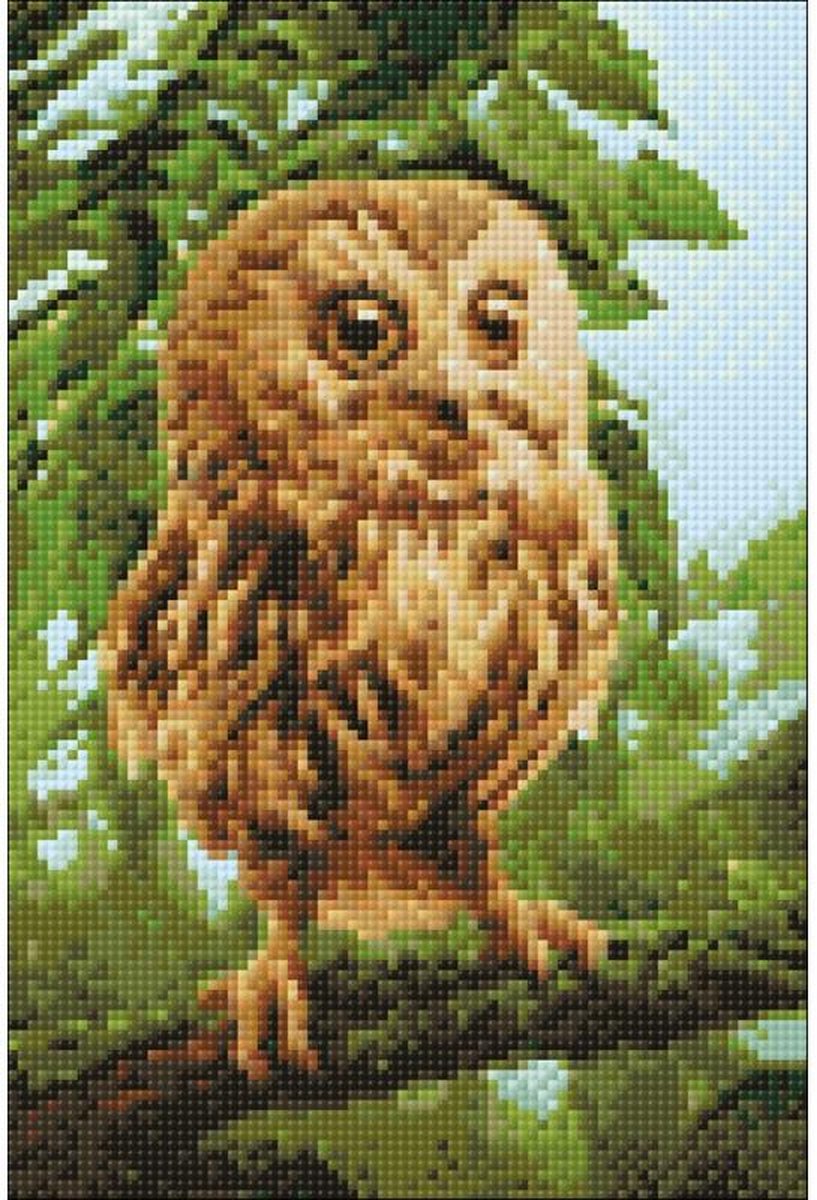 Wizardi Diamond Painting Kit Owl Mickie WD246