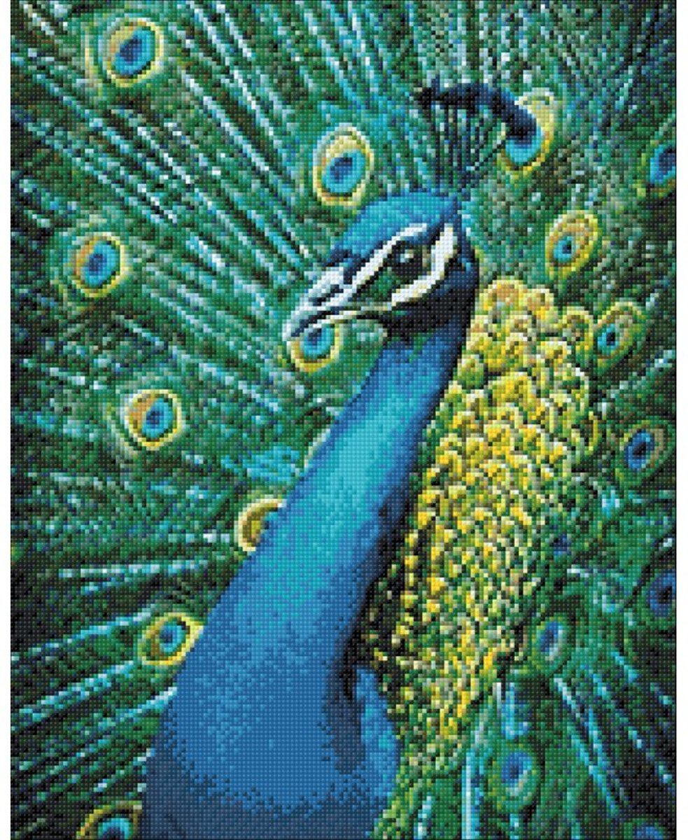 Wizardi Diamond Painting Kit Peacock WD231