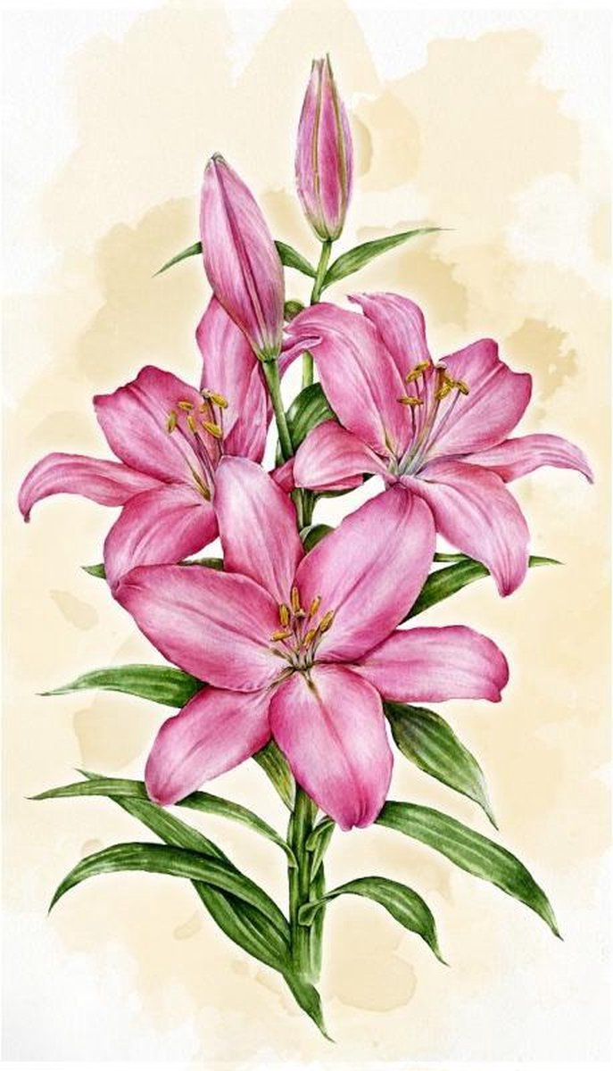   Diamond Painting Lilies  40x70  Vierkante Steentjes