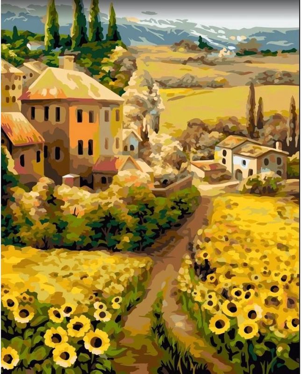 Wizardi painting by Schilderen op nummer . Midday in Tuscany 40x50 cm A144