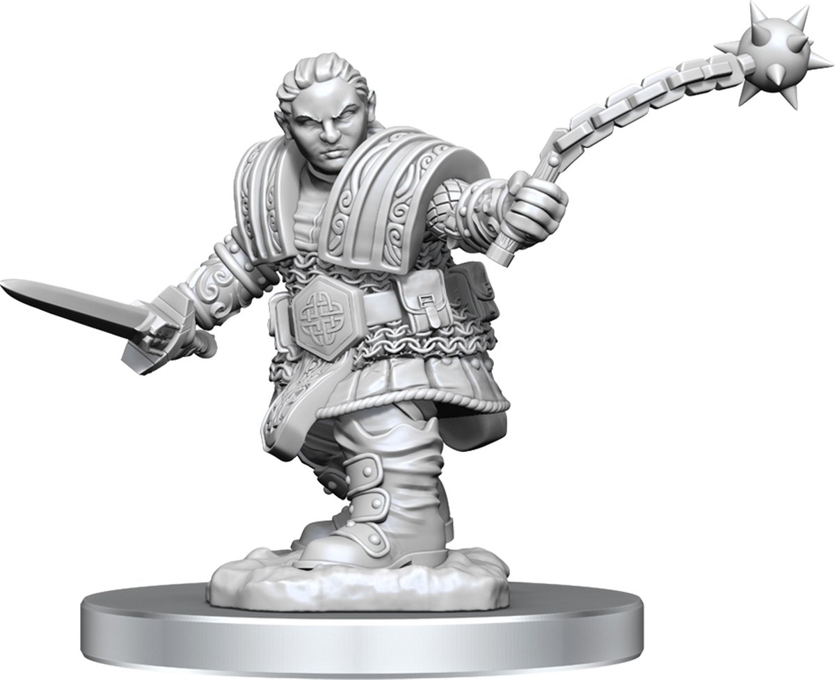 D&D Nolzurs Marvelous Miniatures Dwarf Fighter, Female 2