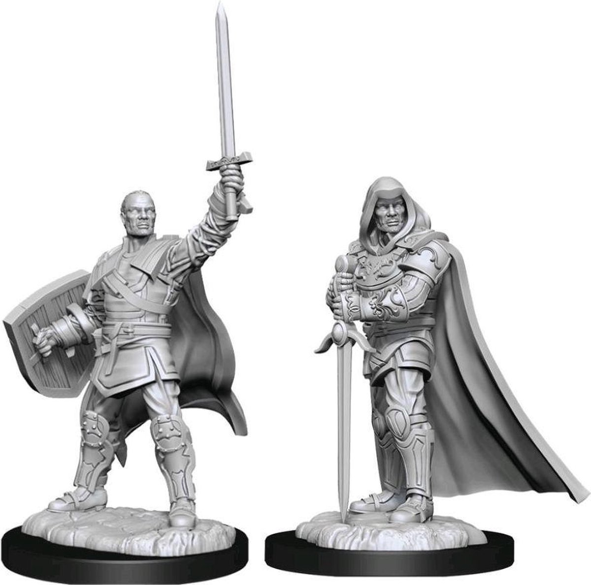 D&D Nolzurs Marvelous Miniatures Human Paladin Male 3