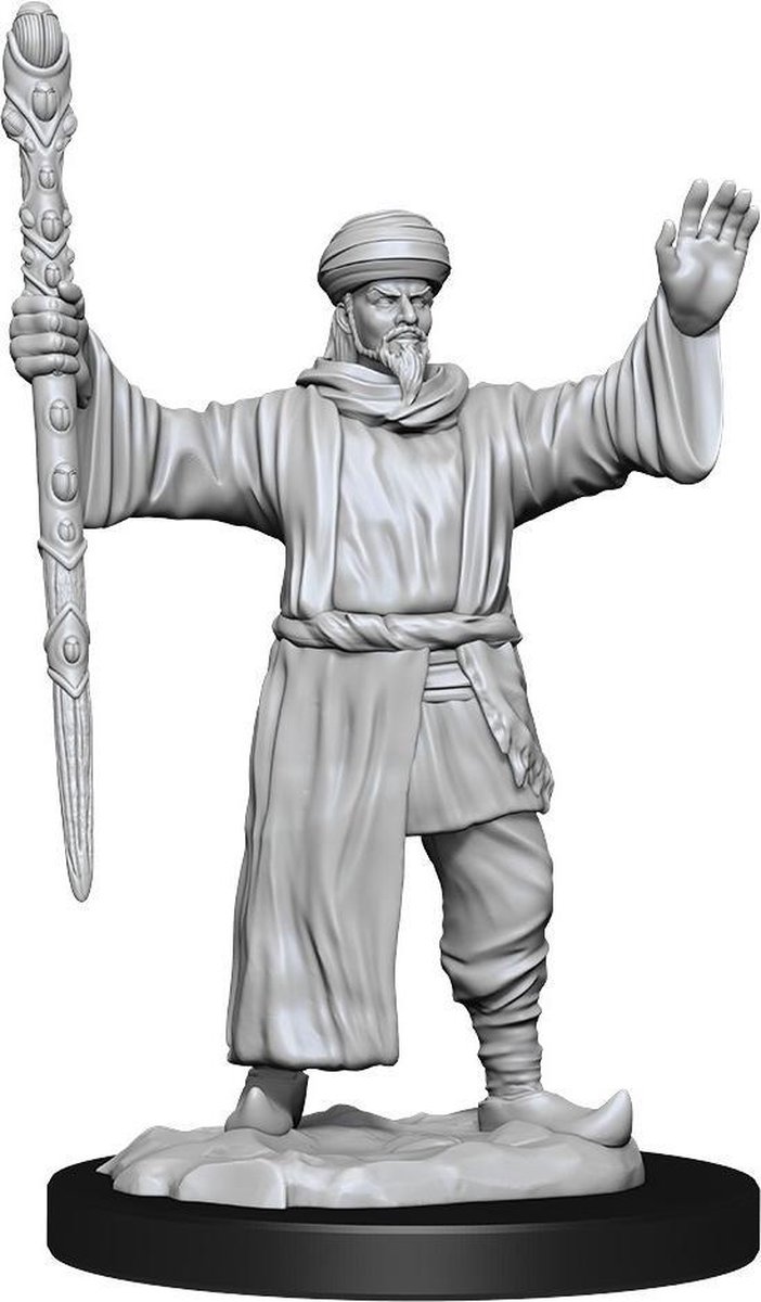 D&D Nolzurs Marvelous Miniatures Human Wizard Male 2