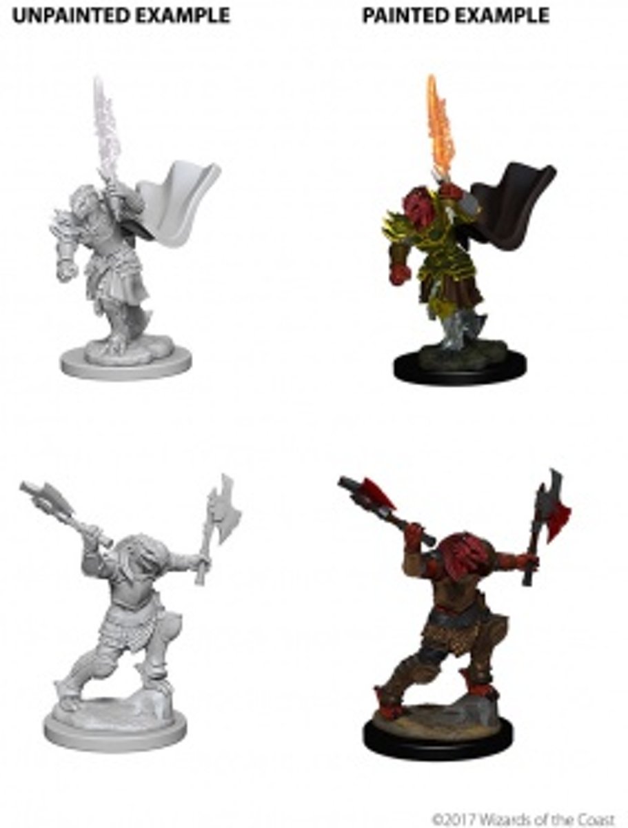 Dungeons and Dragons Nolzurs Marvelous Miniatures: Dragonborn Fighter, Female