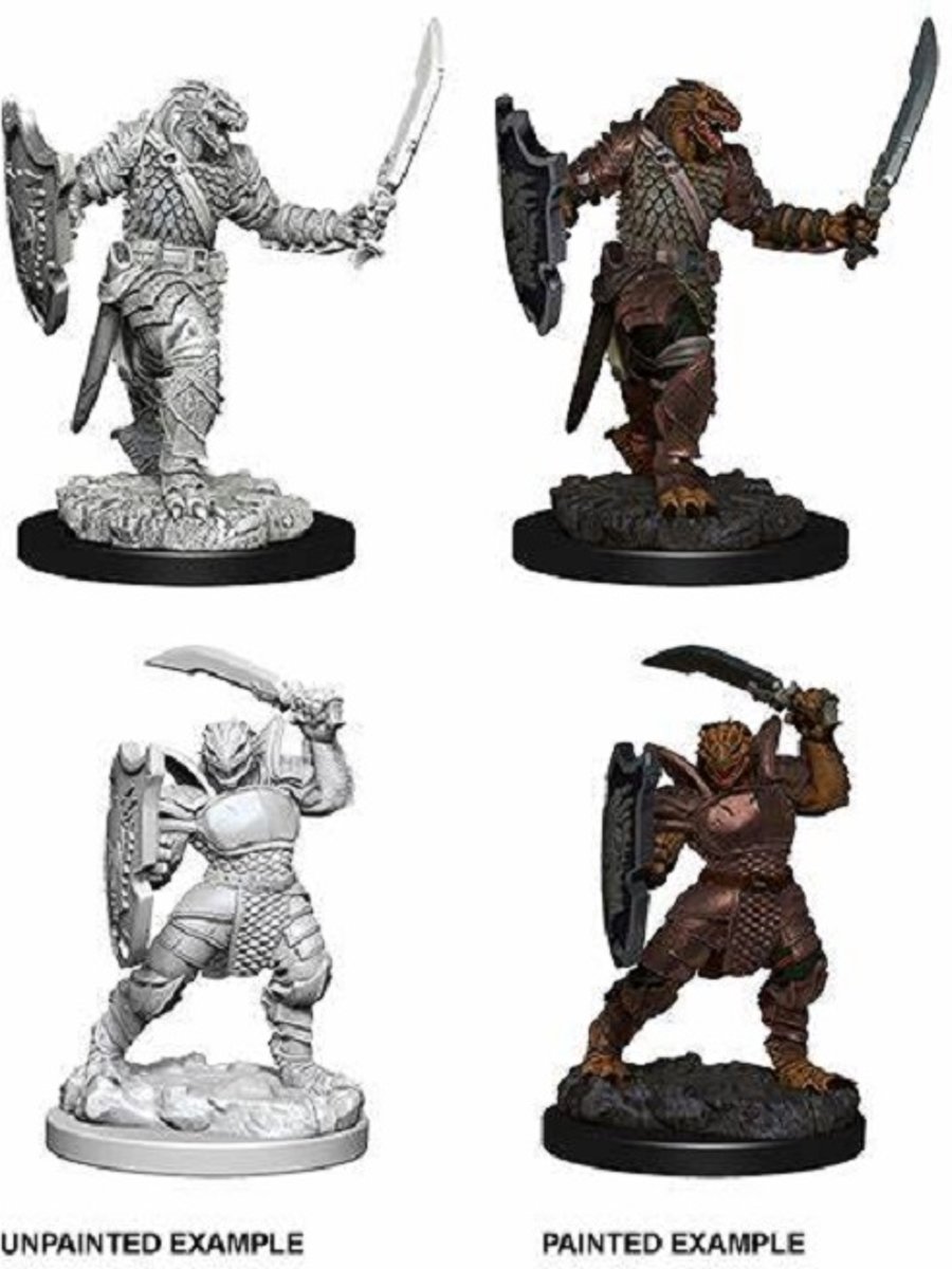 Dungeons and Dragons Nolzurs Marvelous Miniatures: Dragonborn Paladin, Female