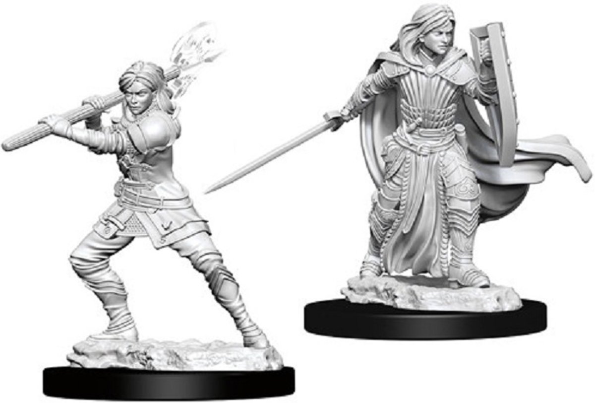 Dungeons and Dragons Nolzurs Marvelous Miniatures: Human Paladin, Female