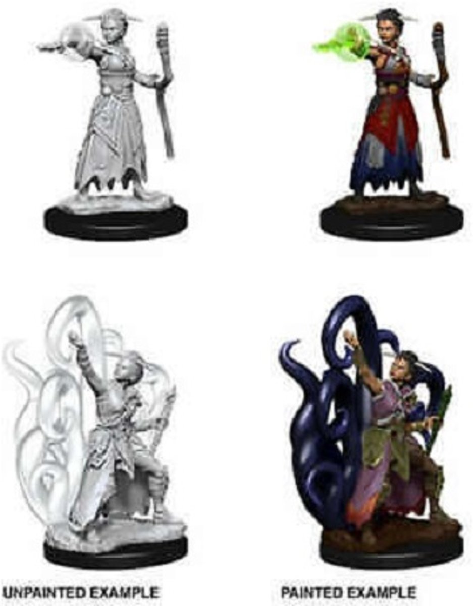 Dungeons and Dragons Nolzurs Marvelous Miniatures: Human Warlock, Female