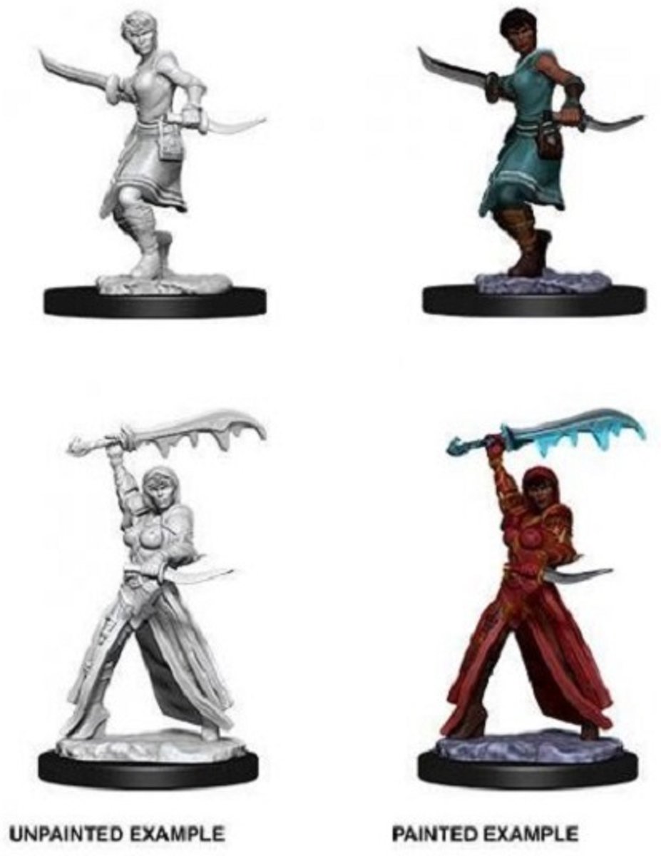 Dungeons and Dragons Nolzurs Marvelous Miniatures:Human Rogue, Female