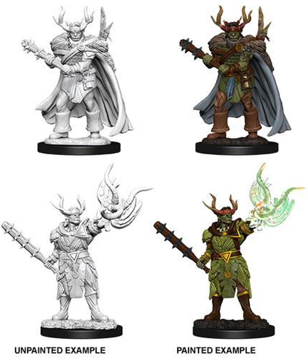 Pathfinder Deep Cuts Unpainted Miniatures: Half-Orc Druid, Male