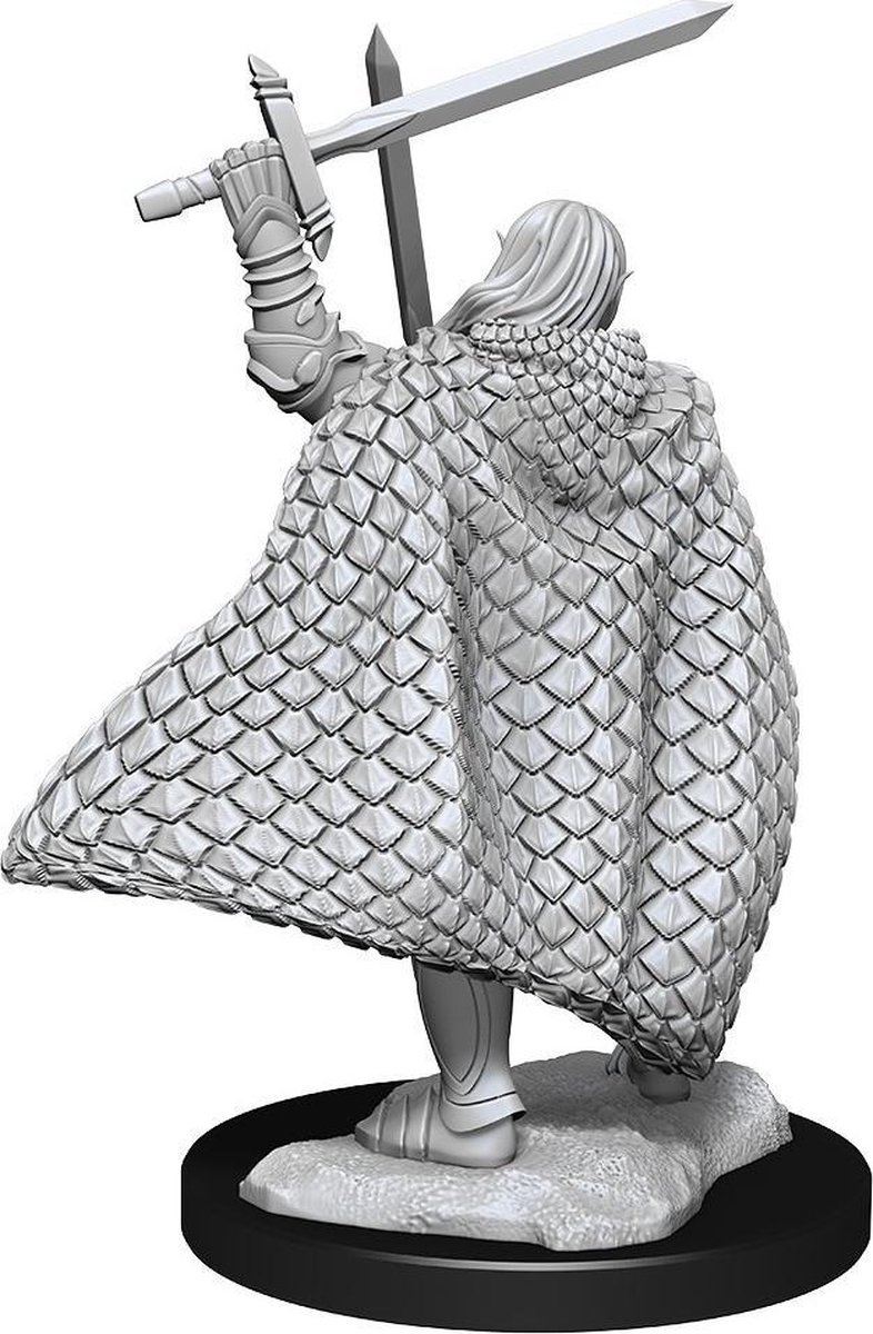 Wizkids: Pathfinder Battles - Deep Cuts - Elf Male Fighter