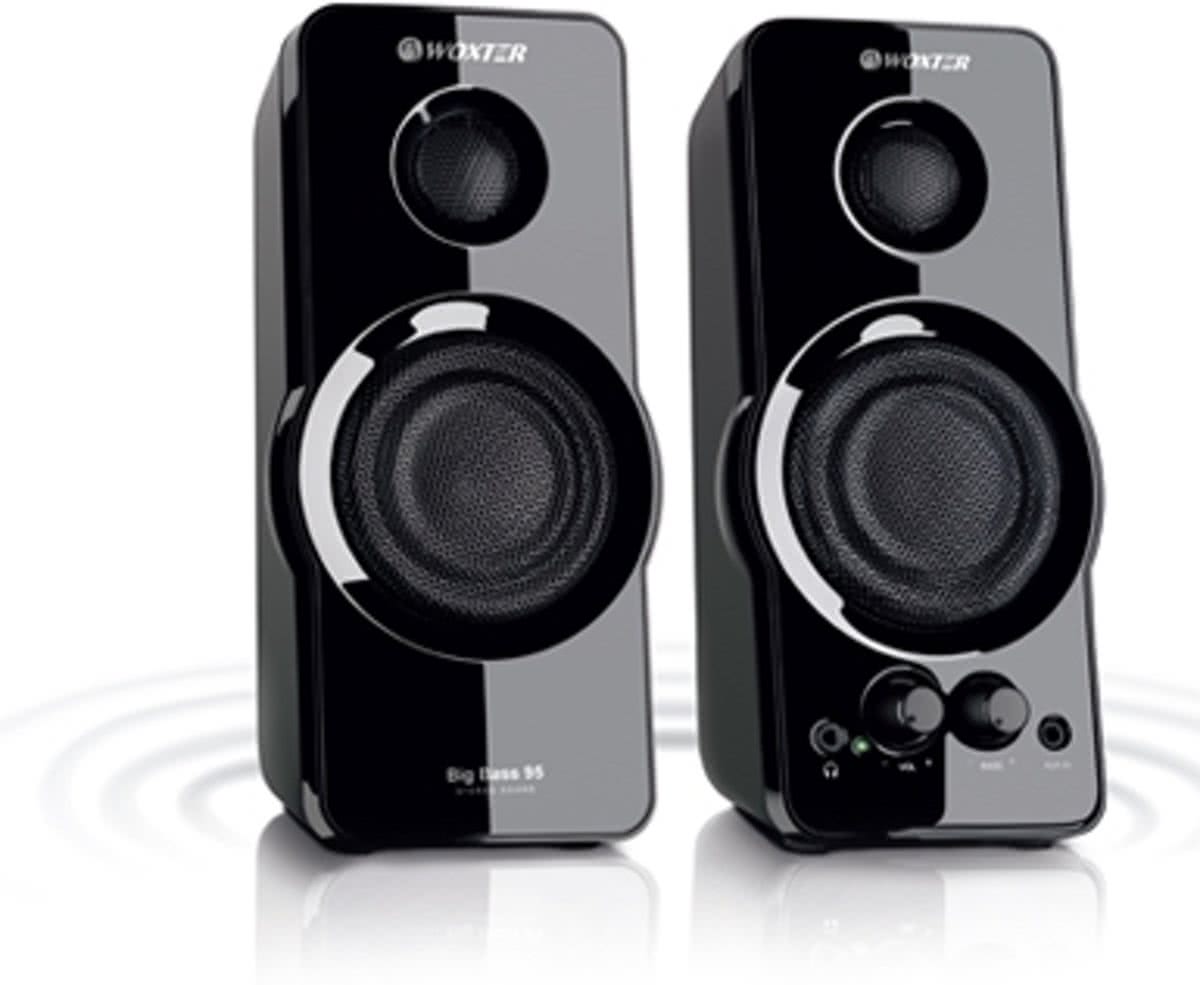 Woxter Big Bass 95 20W Zwart luidspreker