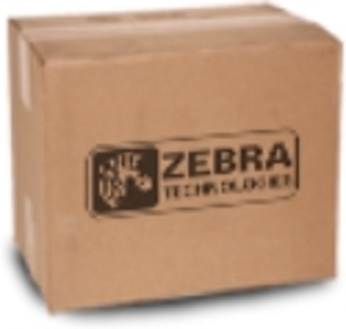 Zebra P1058930-010 printkop Thermo transfer