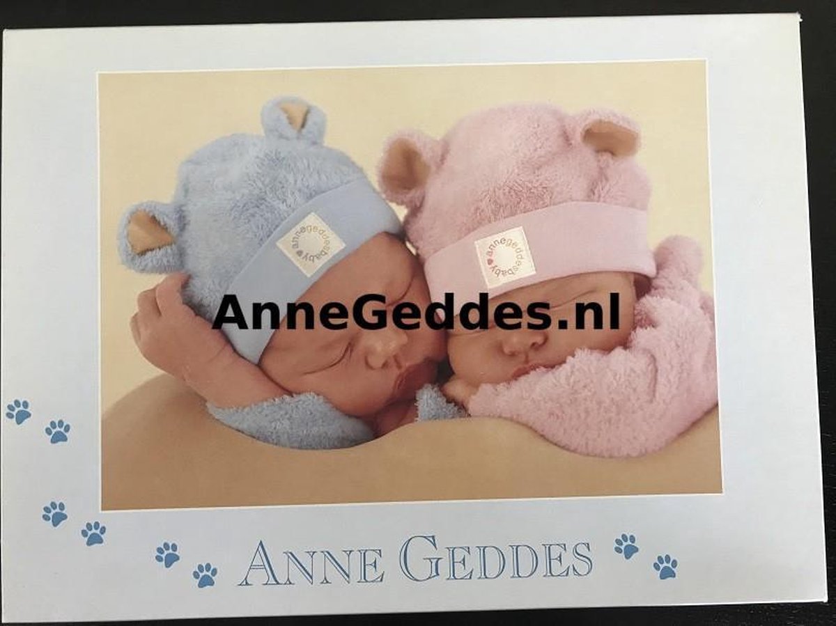 Anne Geddes - 57971 – puzzel / puzzle / legpuzzel – Schmidt – beertjes – 1000 stukjes