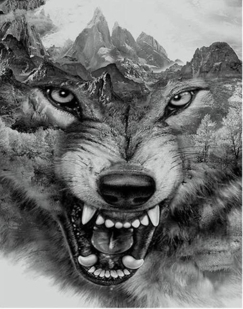 Diamond painting de luxe 30x40 cm -Wolf