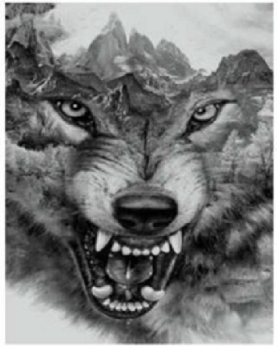 Diamond painting de luxe 30x40cm - Wolf -  ronde steentjes