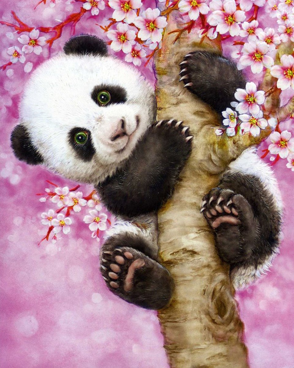 Diamond painting 30 x 40 cm panda