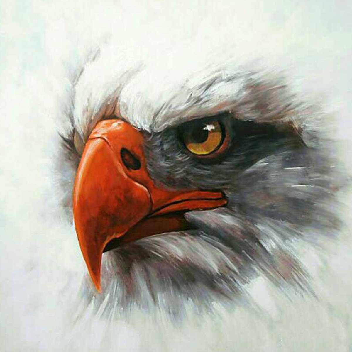 Diamond painting eagle 40 x 50 cm