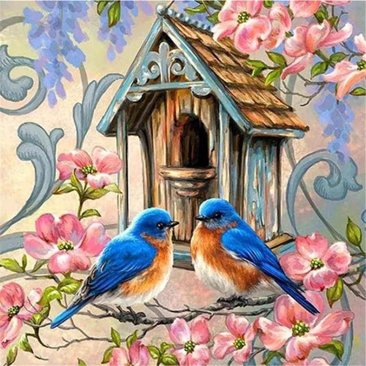 diamond painting  vogels 30x30 cm