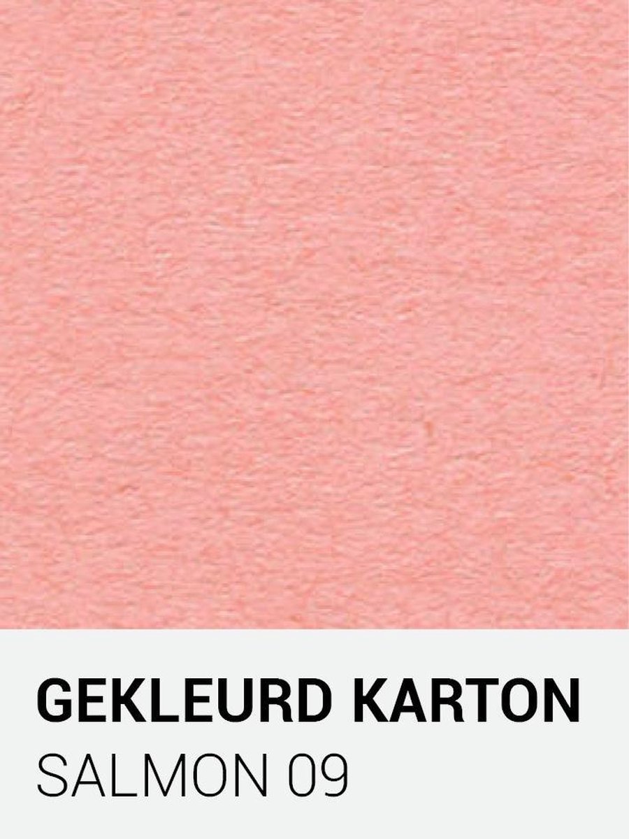 Gekleurd karton salmon 09 30,5x30,5 cm  270 gr.