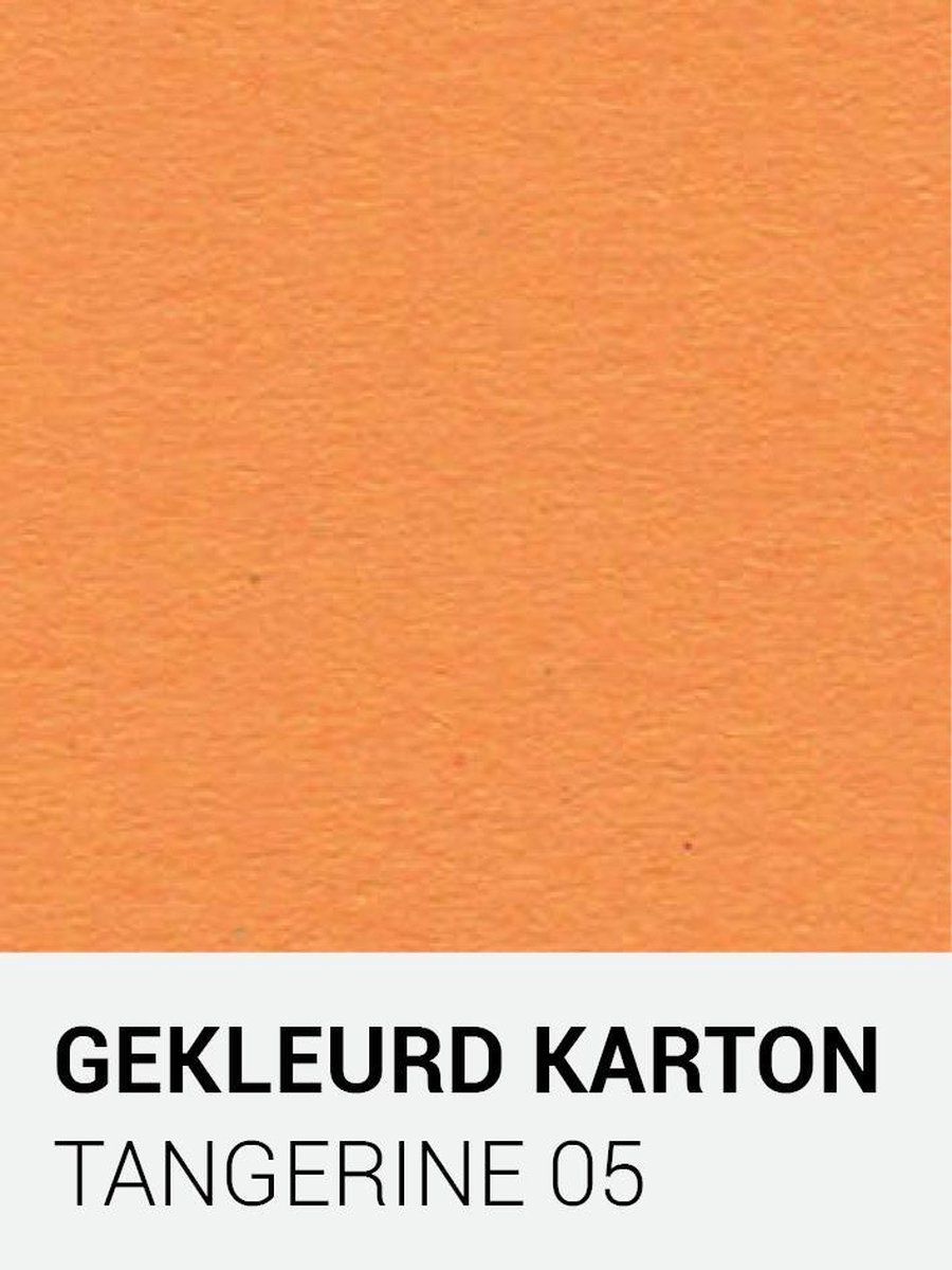 Gekleurd karton tangerine 05 A4 270 gr.