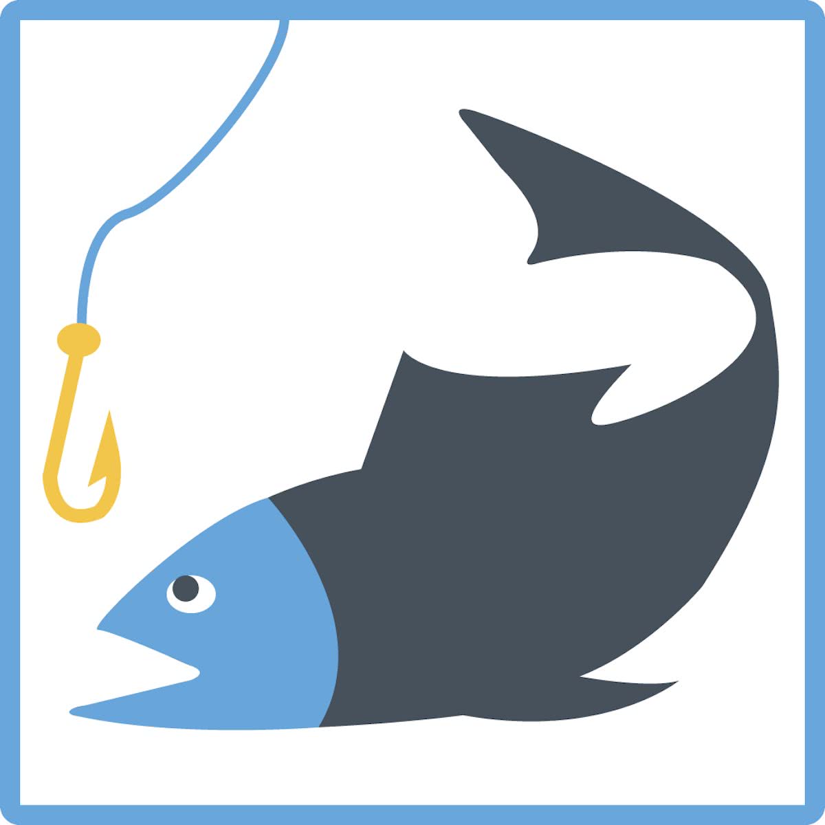 Succes met FISH (E-learning cursus)