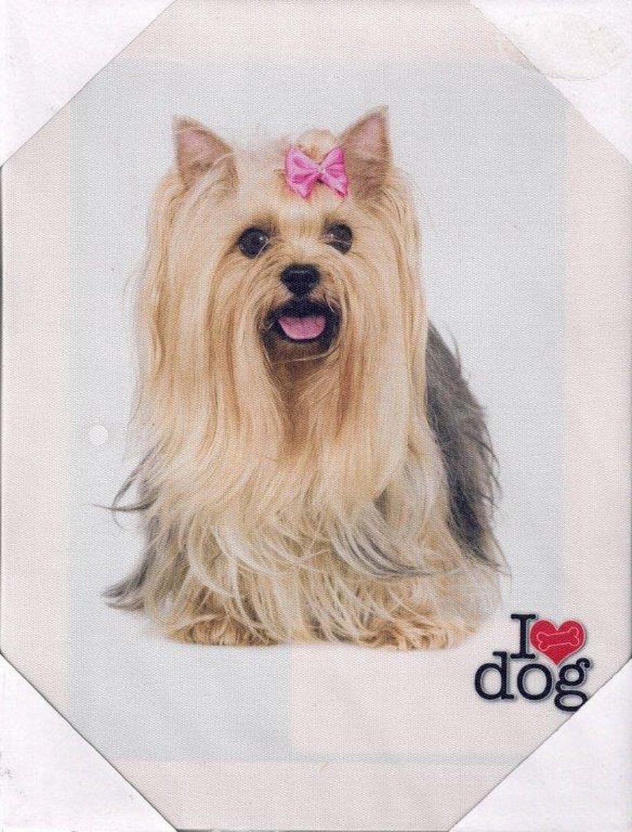 I love dog Canvas Yorkshire Terrier 19x25cm