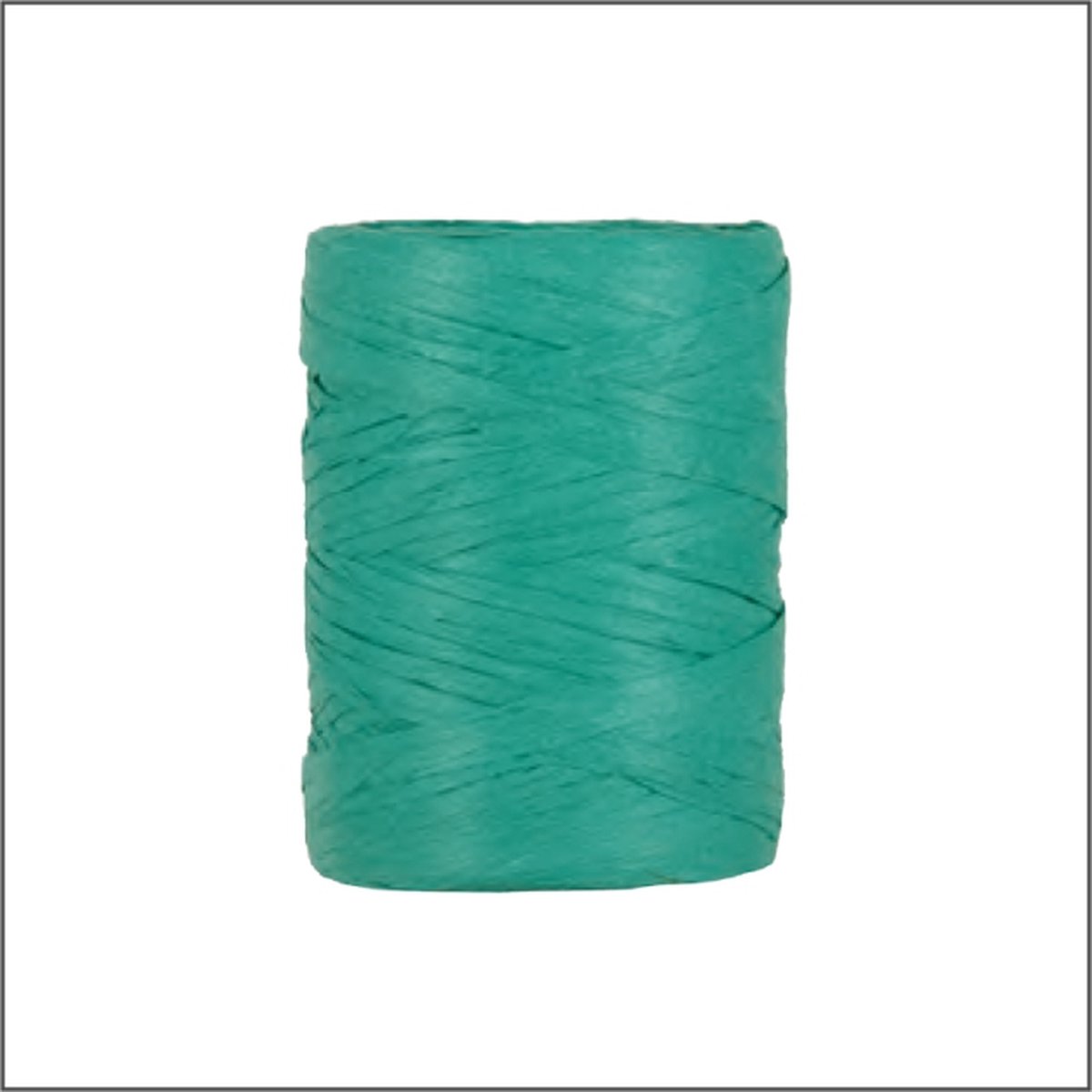 Luxe Cadeaulint - Raffia Lint - Paper Lint - Turquoise - 100 meter - 5mm - Hobbylint - Versierlint - Papier