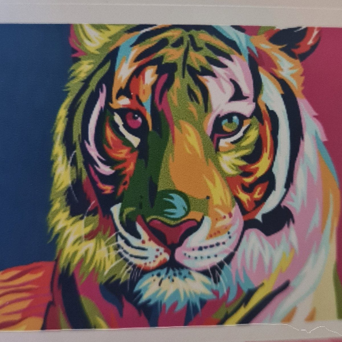 Diamond painting Tijger, tiger 20x30cm 5d Kindercrea