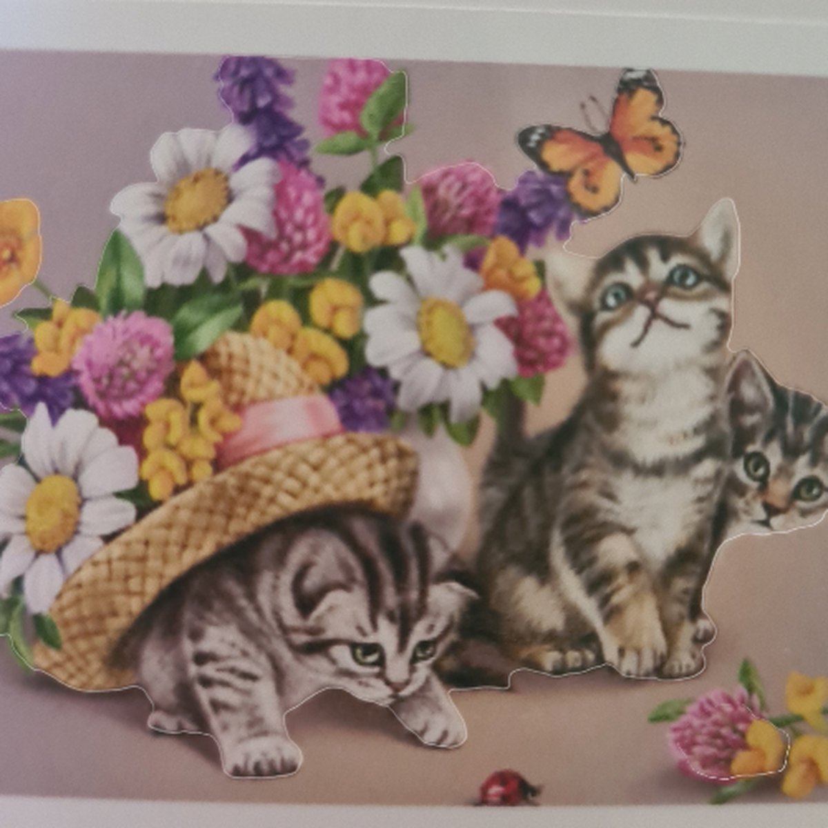 Diamond painting cats, katten/poezen 30x20cm 5d, Kindercrea