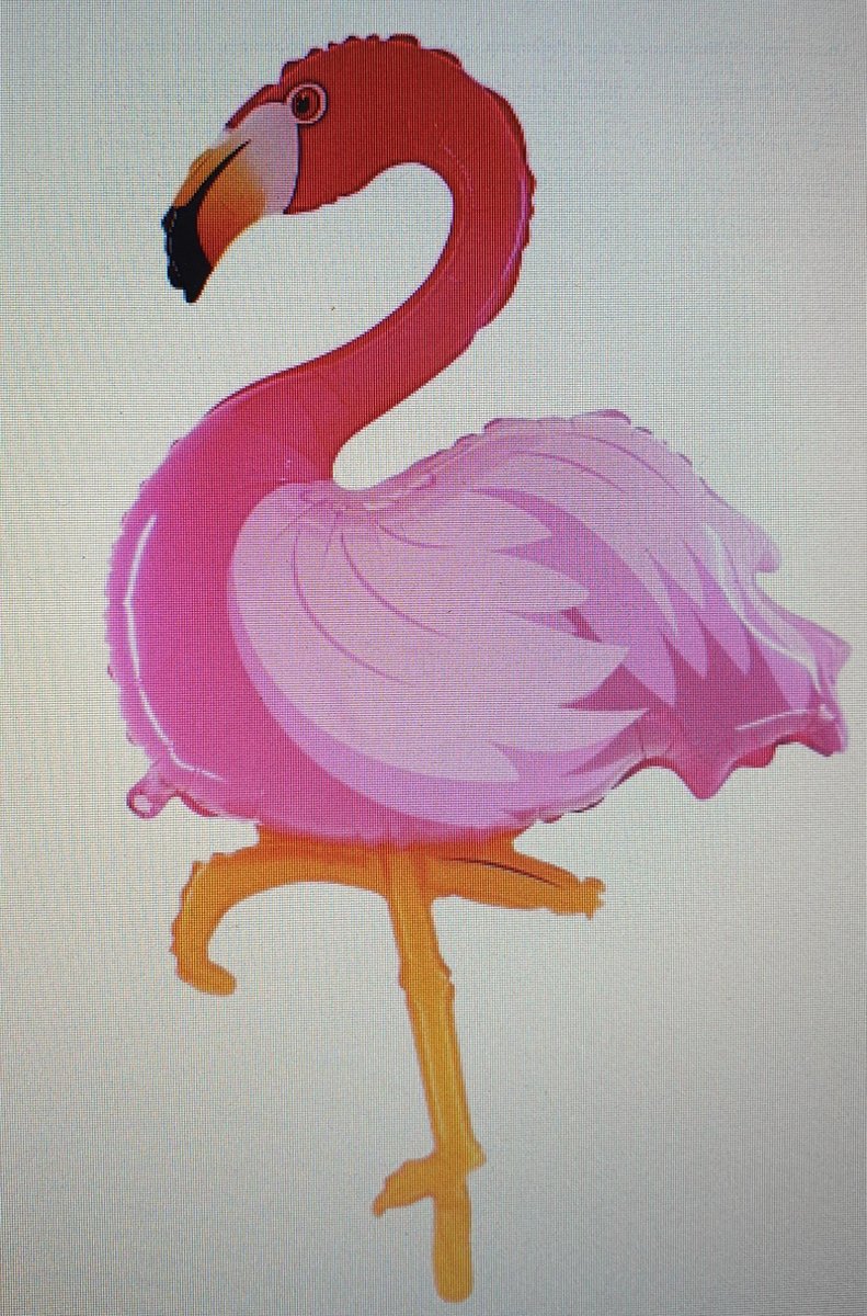 flamingo ballon