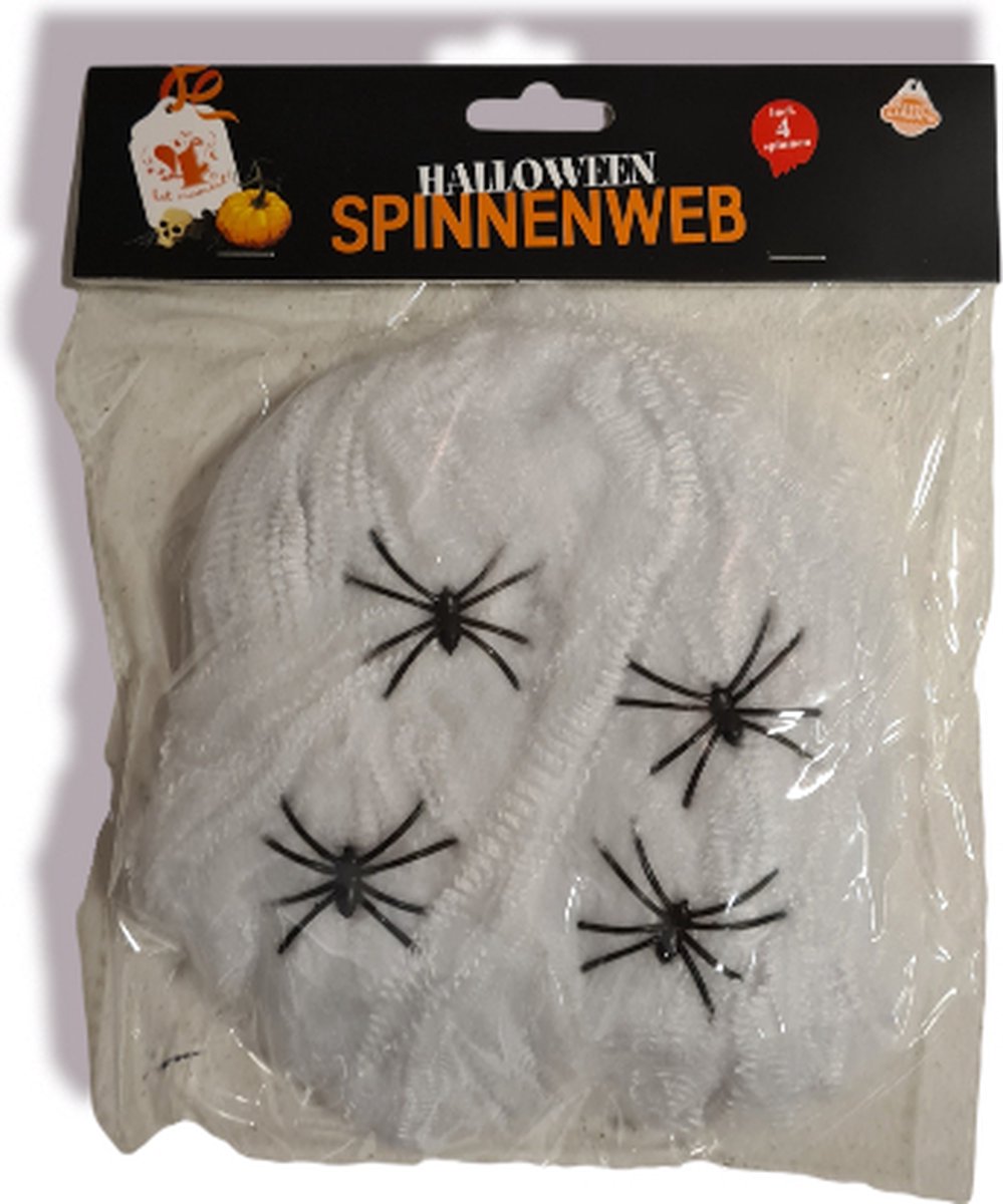 spinnenweb met 4 spinnen , kindercrea