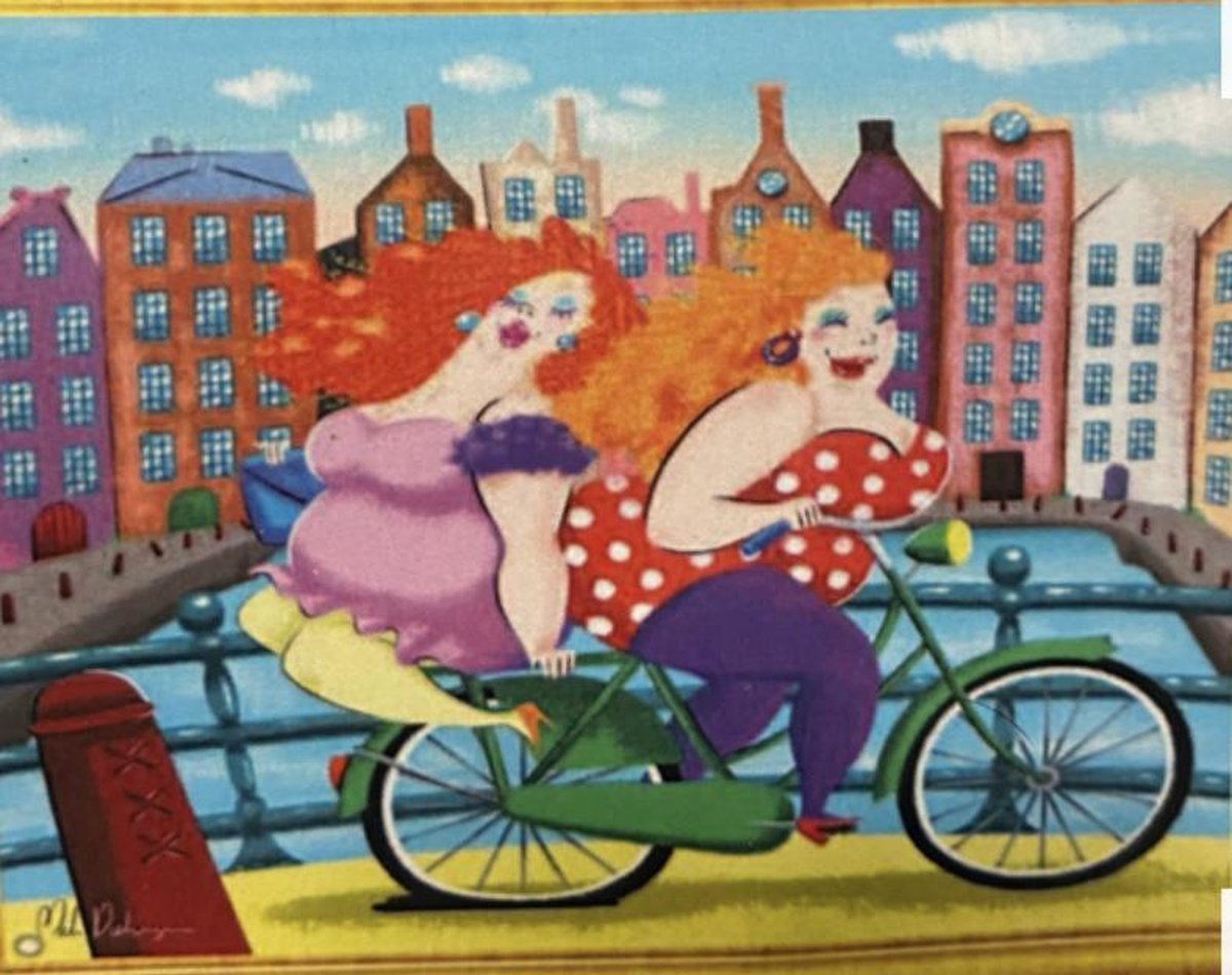 Lenks Diamond painting 2 Dikke dame op de fiets 40 X 50cm ronde steentjes full paint Diamond Paint 1594LR