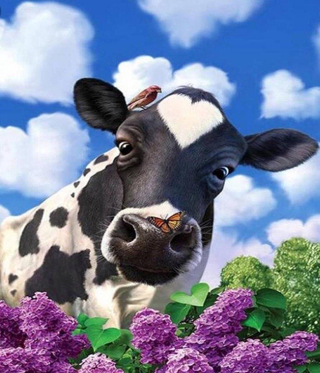 Diamond painting - koe - 30x40 - ronde steentjes