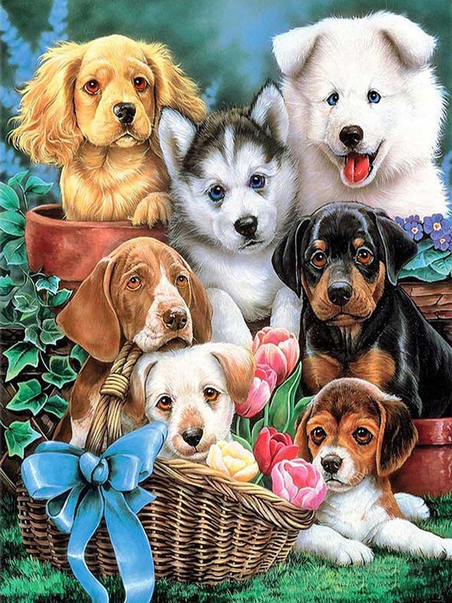 Rubye Diamond Painting Volwassenen - Diamond Painting Kinderen - Schattige Puppys - 30x40cm