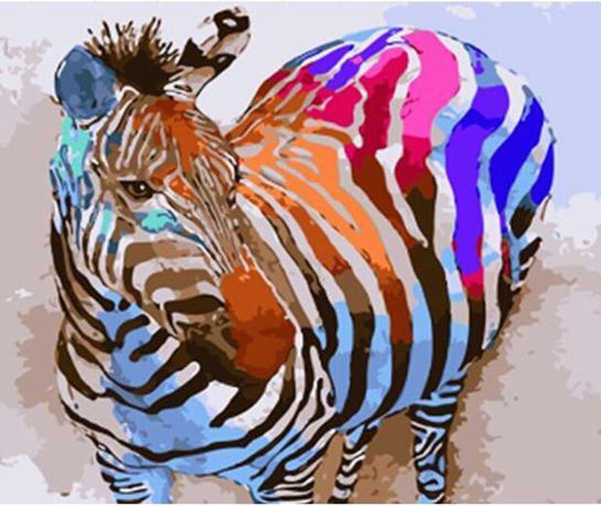 Schilderenopnummers.com® - Schilderen op nummer volwassenen - Colourful zebra - paint by numbers