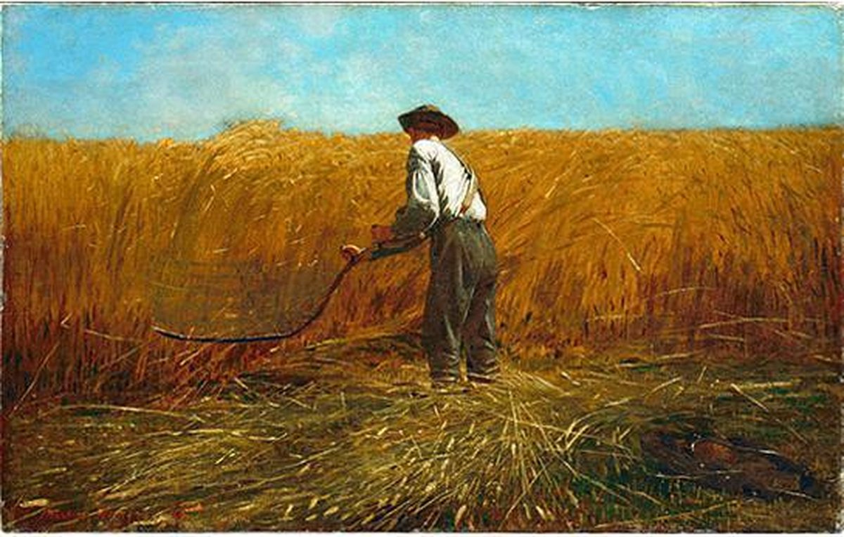 Schilderenopnummers.com® - Schilderen op nummer volwassenen - Winslow Homer – The Veteran in a New Field - 40x50 cm - Paint by numbers