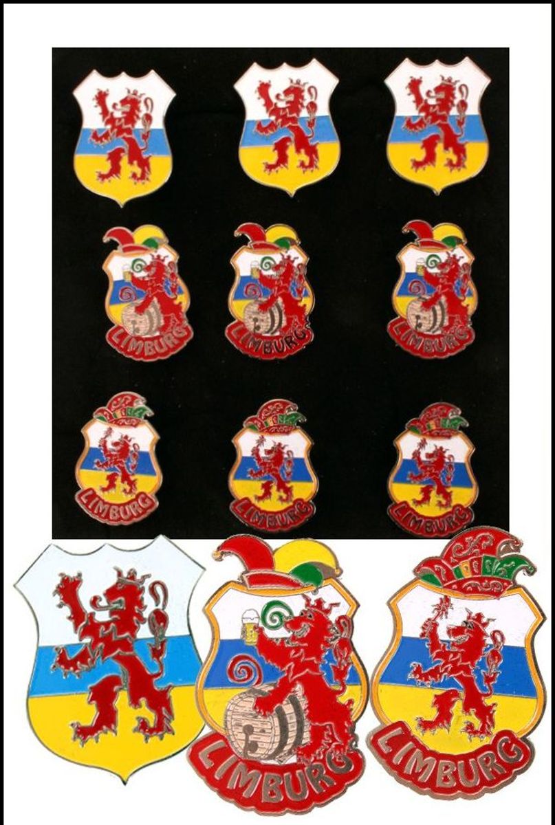 9 Stuks Broche Wapens Limburg 3 assortie