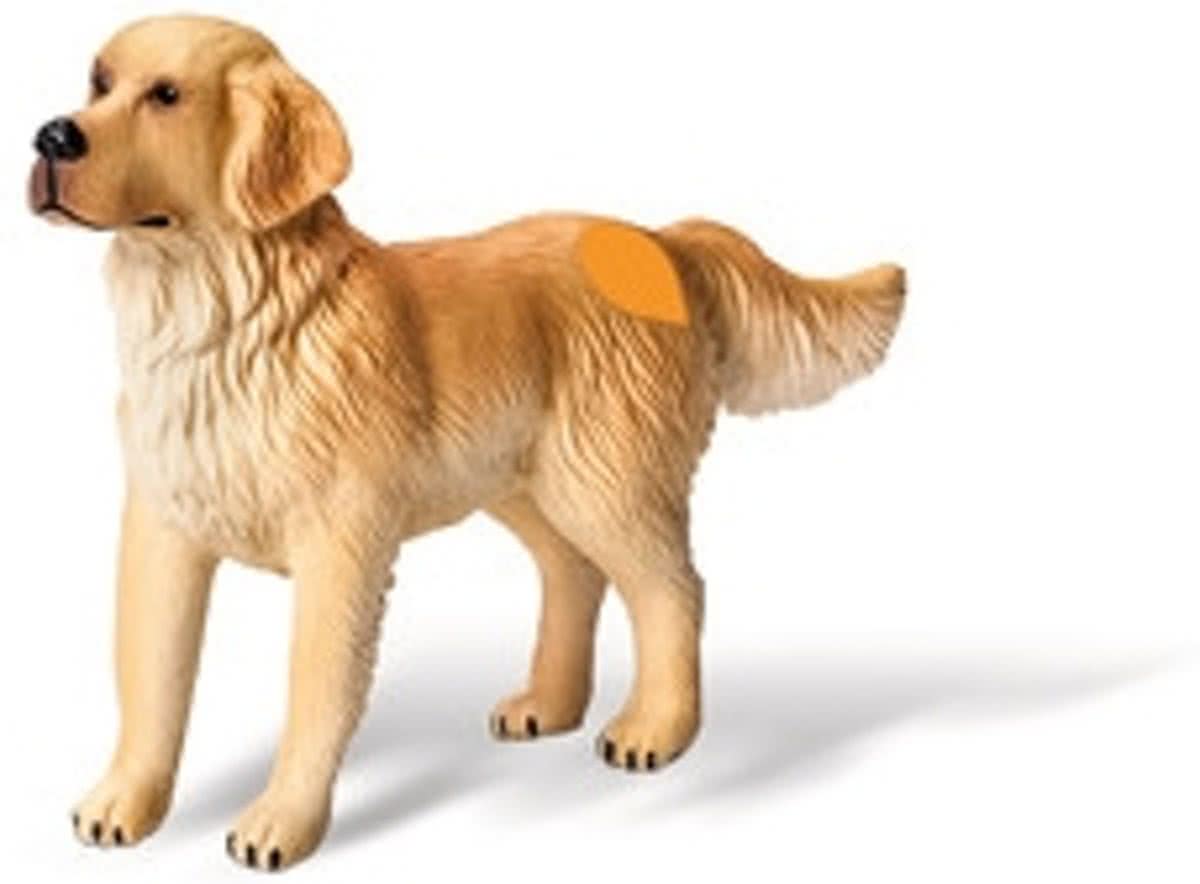 tiptoi® speelfiguur Golden retriever, reu