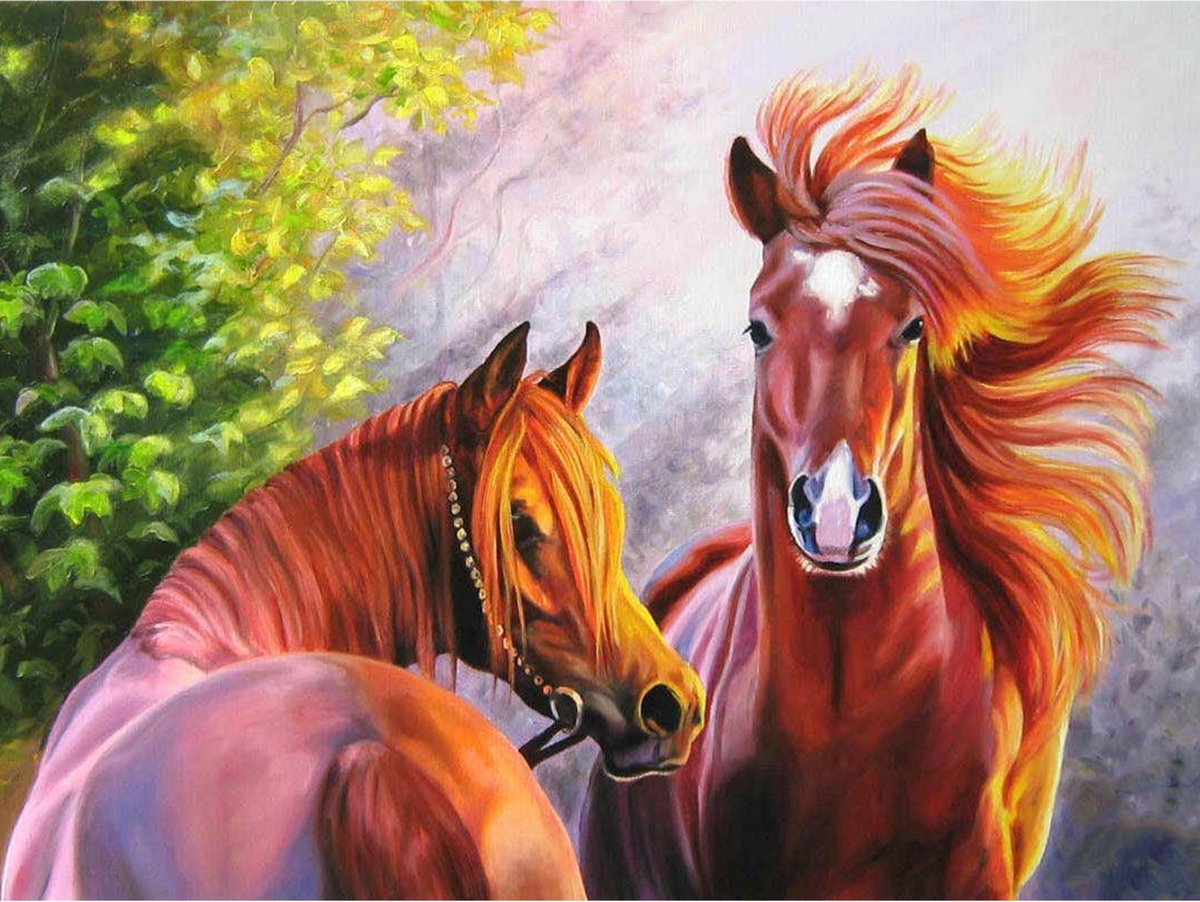 Toi-toys Diamond Painting Paard 40 X 50 Cm